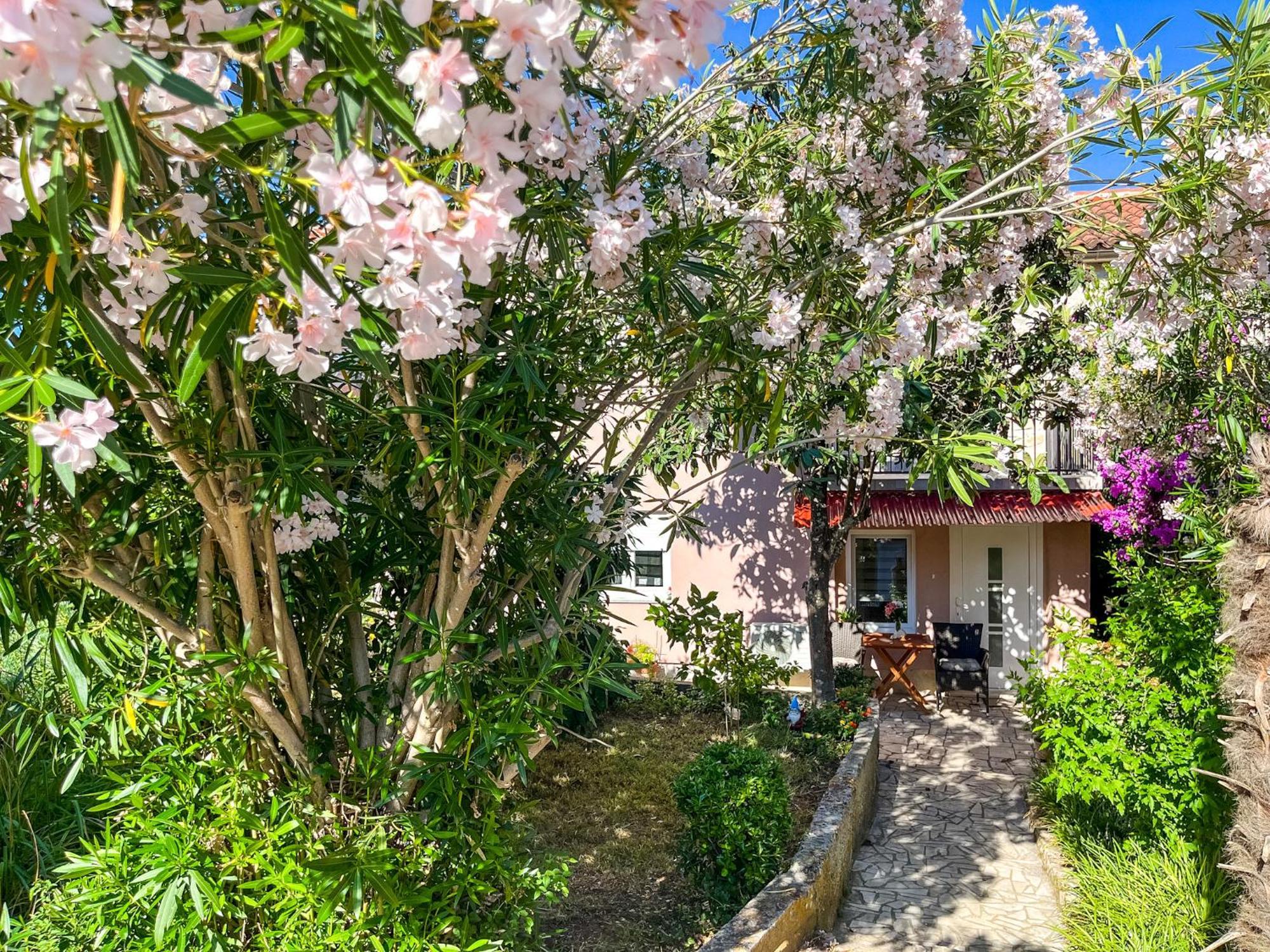 Apartment Lidija 班约勒 外观 照片